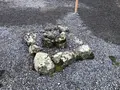 三ツ石の写真_337513