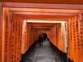 伏見稲荷大社の写真_337538