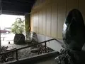 横濱スパヒルズ竜泉寺の湯の写真_338010