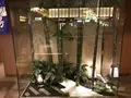 横濱スパヒルズ竜泉寺の湯の写真_338069