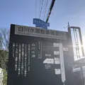 白川水源の写真_338394