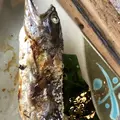 高森田楽保存会の写真_338407