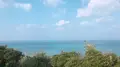 大神島の写真_338996