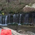白糸の滝の写真_339131