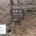 白糸の滝の写真_339132