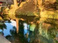 白川水源の写真_339805