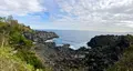 城ヶ崎海岸の写真_340224