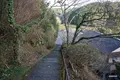 久延寺の写真_340314