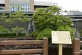 島田市観光協会の写真_340321