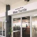 ブルータートル[Blue Turtle]の写真_340362