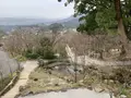 竈門神社の写真_340616