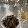 金川製茶の写真_340721