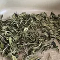 金川製茶の写真_340724