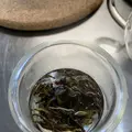 金川製茶の写真_340728