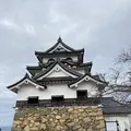 彦根城の写真_341826