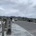 嵐山の写真_342950