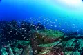 三浦 海の学校の写真_343039
