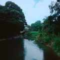 陰陽石の写真_343209