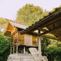 家プロジェクト「護王神社」の写真_343707