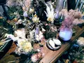Cachette北白川店（カシェット）の写真_344122