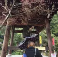 大聖院の写真_344326