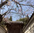 大聖院の写真_344346
