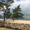 てんぷら津久根島 宮島店の写真_344378