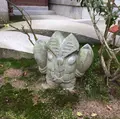 大聖院の写真_344461