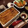 まめたぬきの写真_344470
