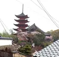 山辺の古径の写真_344482