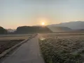 大官大寺跡の写真_345091