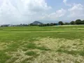 藤原宮跡の写真_345096