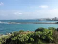 宜野湾市立野球場の写真_345279