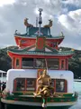 イルカ島の写真_345791