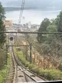 天橋立の写真_345806