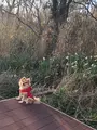 リブマックスリゾート 京丹後シーフロントの写真_345814