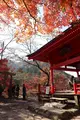 今高野山龍華寺の写真_345969