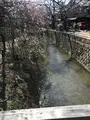哲学の道の写真_347378