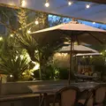 キュビエリタの写真_347808