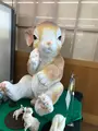 月うさぎの里の写真_348202