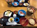 月うさぎの里の写真_348204