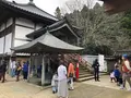 月うさぎの里の写真_348205