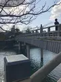 主計町茶屋街の写真_348249