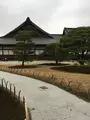 二条城 本丸庭園の写真_348384
