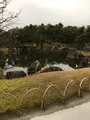 二条城 本丸庭園の写真_348387