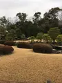 二条城 本丸庭園の写真_348389