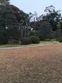 二条城 本丸庭園の写真_348390
