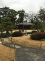 二条城 本丸庭園の写真_348392