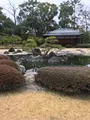 二条城 本丸庭園の写真_348393