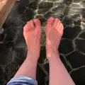 熱海梅園の写真_348482